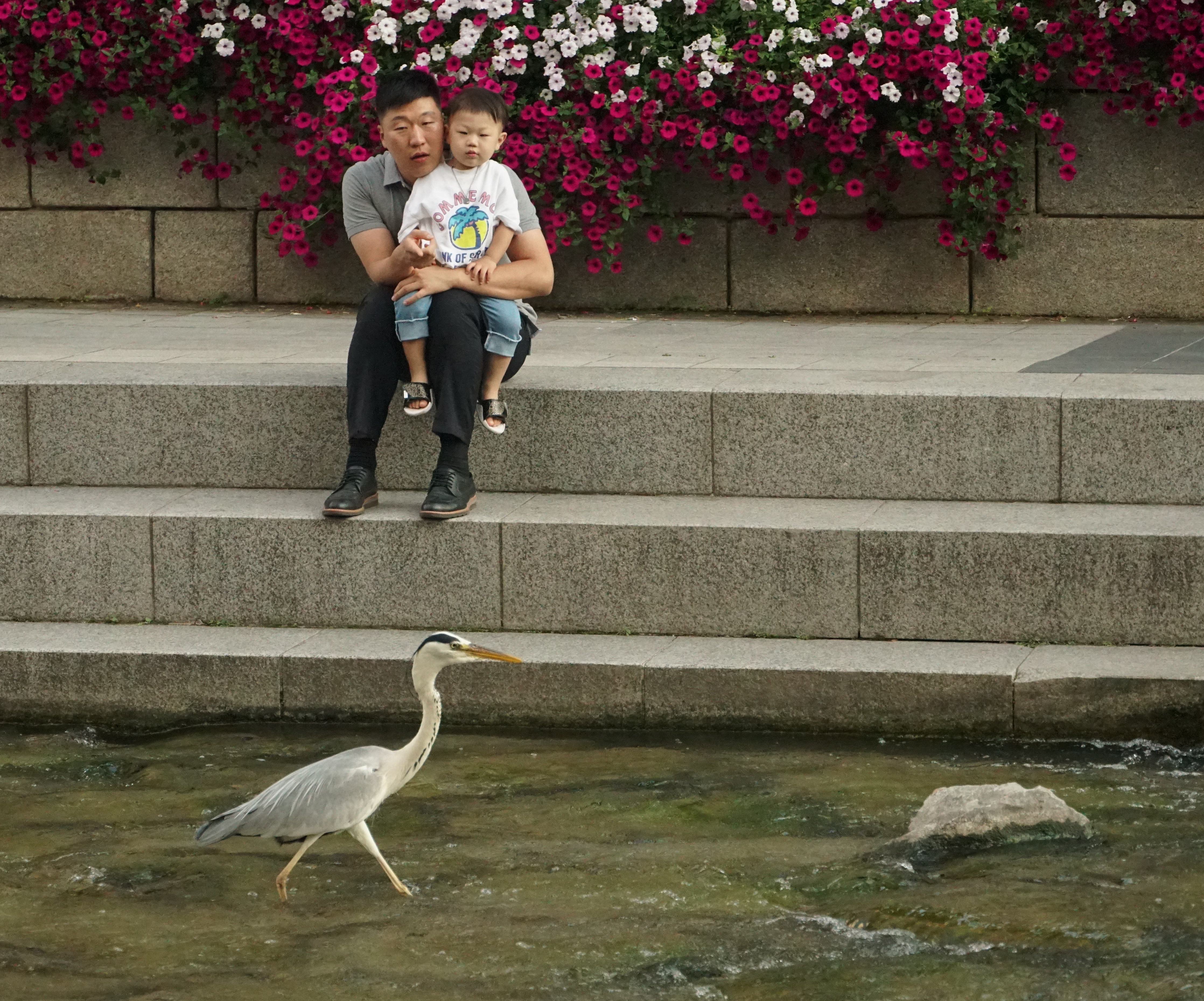 Seoul, South Korea. June 2019. Photo: Ernesto Valero Thomas